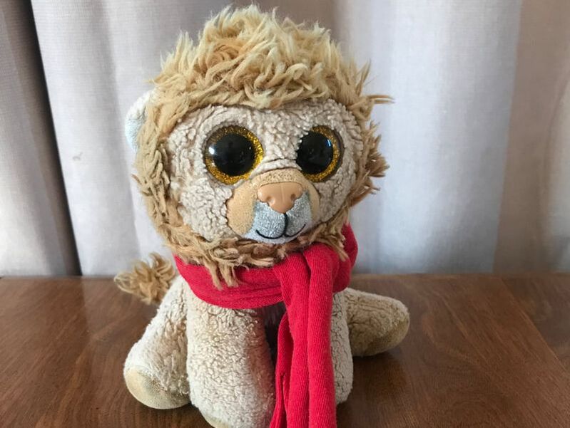 Do you need to warm up before playing flute? (or any other instrument) [by Roy the Musical Lion]